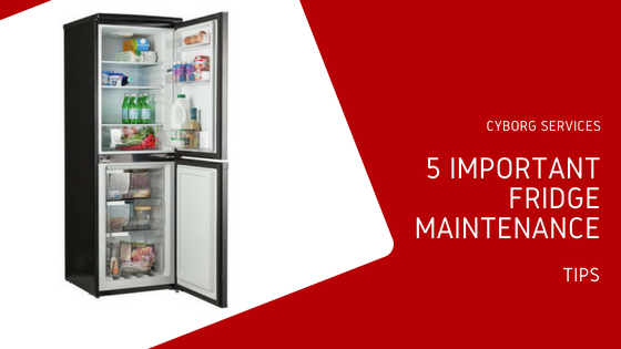 refrigerator maintenance tips | Cyborg Services