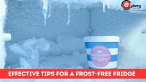 Tips for a Frost-Free Fridge Cyborg Services